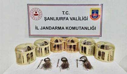 Şanlıurfa'da Kaçak Avcılara Jandarma Engeli