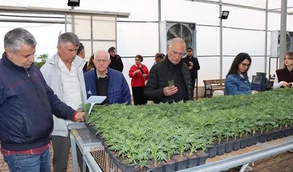 TBB Heyeti, Şanlıurfa’da Büyükşehir’in Tarımsal Üretimini İnceledi