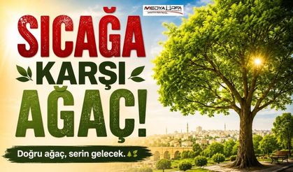 Güneydoğu'nun Sıcağına Karşı Doğal Çözüm: Ağaçlandırma