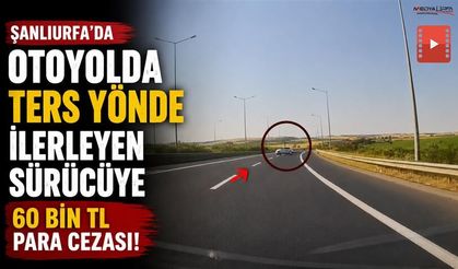 Şanlıurfa'da Otoyolda Ters Yönde İlerleyen Sürücüye 60 Bin TL Ceza