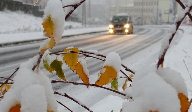 Erzurum, Kars ve Ardahan'da kar ve soğuk hava etkili oluyor