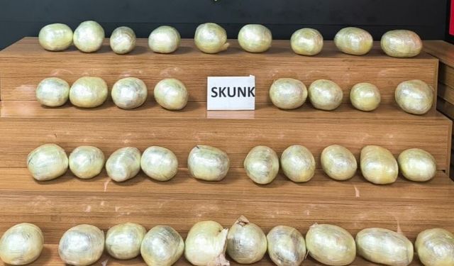 Şanlıurfa’da 20 Kilodan Fazla Skunk Ele Geçirildi: 3 Tutuklama