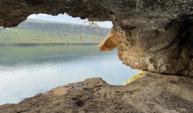 Şanlıurfa'da Kaçak Balık Avlayan Kişiye 24 Bin Lira Ceza