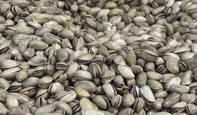 Türkiye'den 6 ayda 96 milyon dolarlık fıstık ihraç edildi