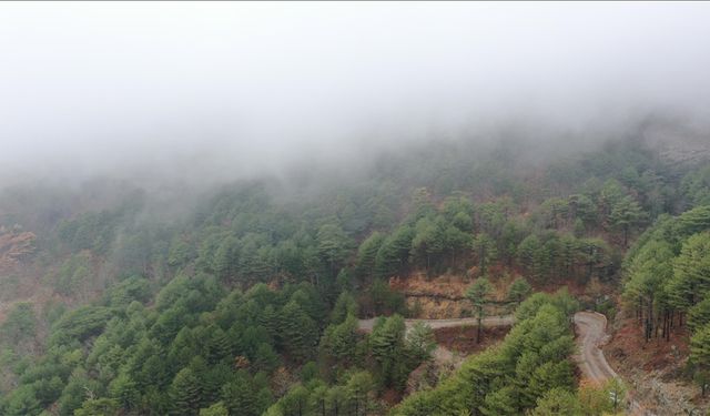 Oksijen deposu Kazdağları doğal güzellikleri dronla görüntülendi