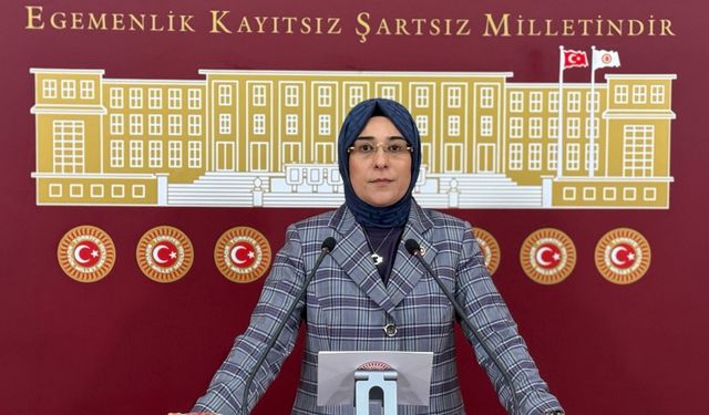 Yazmacı: Cumhurbaşkanımız cunta meraklıların pabuç bırakmadı