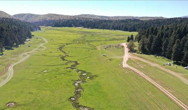 Bolu'daki yaylalar doğaseverleri ağırlıyor