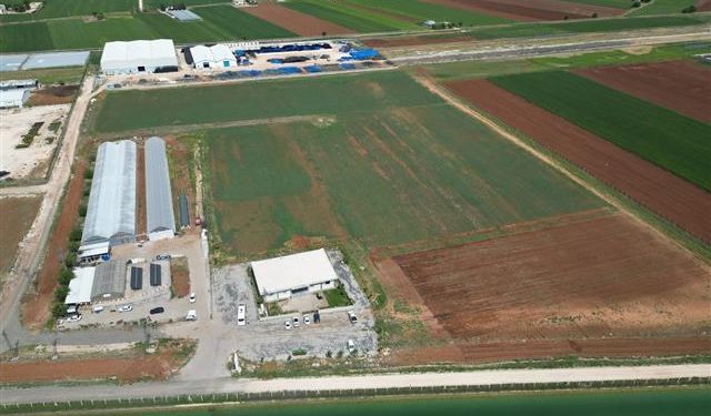 Büyükşehir, Ata Tohumlarını Toprakla Buluşturdu