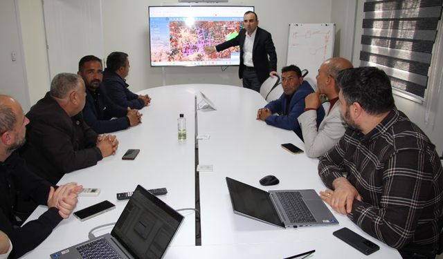 Kırsalda Enerji Kalitesi İçin Dicle Elektrik 2.473 Muhtarla Buluşacak