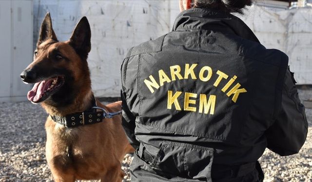 Van ve Şanlıurfa'da operasyon: 311 kilo uyuşturucu madde ele geçirildi