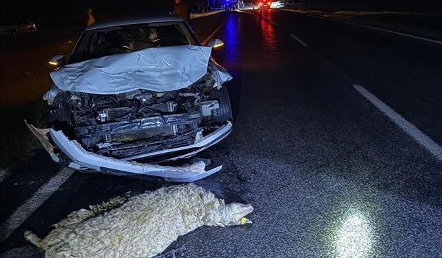 Şanlıurfa'da otomobil sürüye çarptı: 3 yaralı