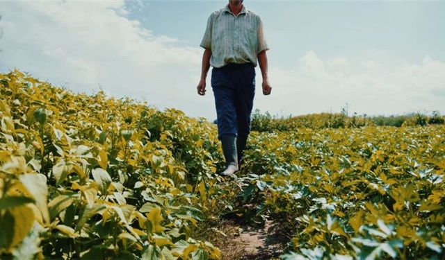 Dicle Elektrik’ten Vahşi Sulamaya Dikkat Çeken Kamu Spotu!