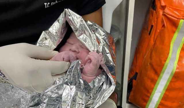 Yolda Gerçekleşen Doğum Başarıyla Tamamlandı: Anne ve Bebek Sağlıklı