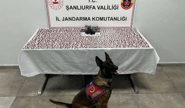 Şanlıurfa'da uyuşturucu operasyonunda 2 şüpheli yakalandı