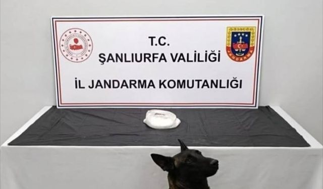 Şanlıurfa'da uyuşturucu operasyonunda 2 şüpheli yakalandı