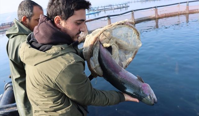 Şanlıurfa'da ailecek ürettikleri balık ve havyarları ihraç ediyorlar