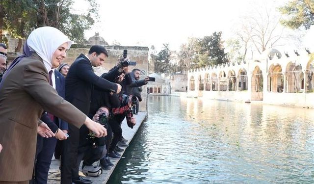 Bakan Göktaş'ın Şanlıurfa Temasları