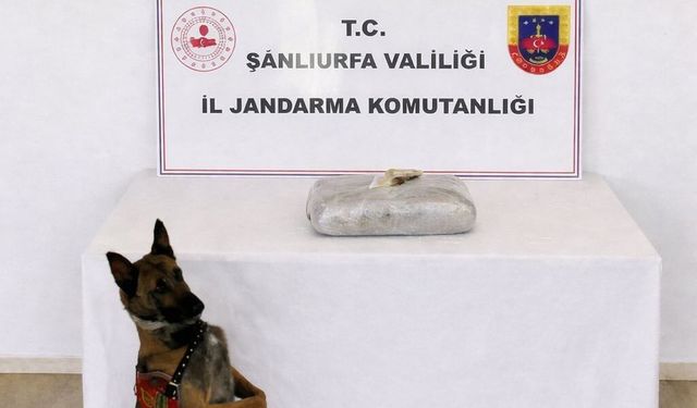 Şanlıurfa'da narkotik operasyonu: 1 kilo 222 gram esrar ele geçirildi