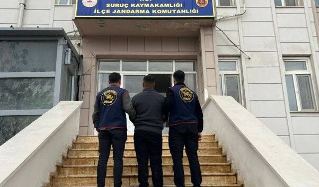 Suruç'ta dolandırıcılıktan aranan şahıs yakalandı