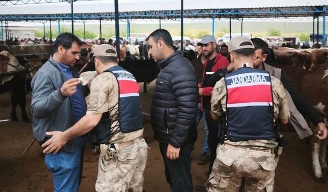 Şanlıurfa’da Hayvan Pazarlarında Bayram Tedbirleri Artırıldı