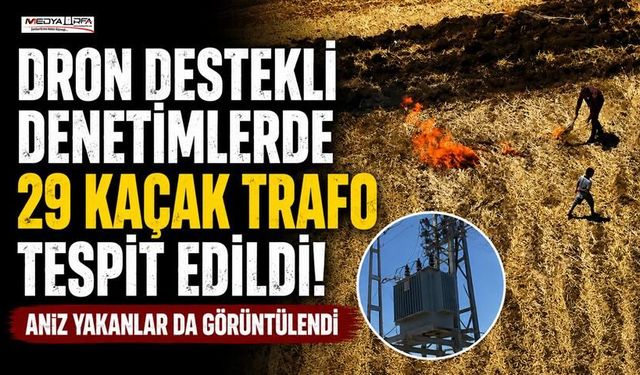 Şanlıurfa’da 29 Kaçak Trafo Tespit Edildi!