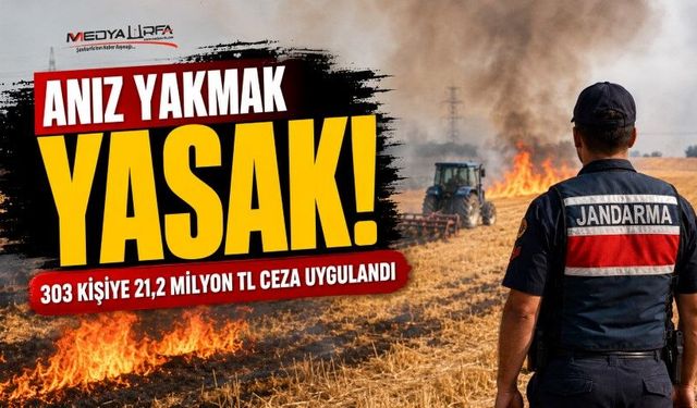 Şanıurfa'da anız yakanlara yüksek miktarda ceza