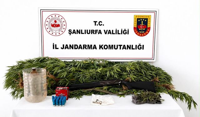 Akçakale'de Uyuşturucu Operasyonu: 1 Şüpheli Hakkında İşlem Başlatıldı