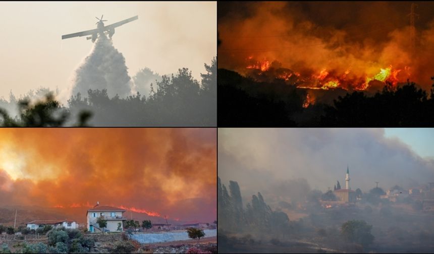 Orman yangınları geçen yıla göre 5 kat arttı