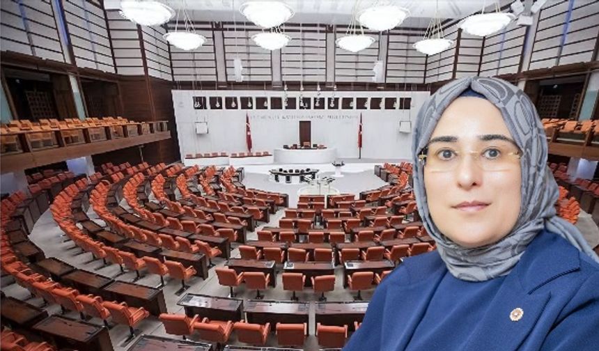 Milletvekili Yazmacı: Müziğin İlk Duyulduğu Yer Şanlıurfa'dır