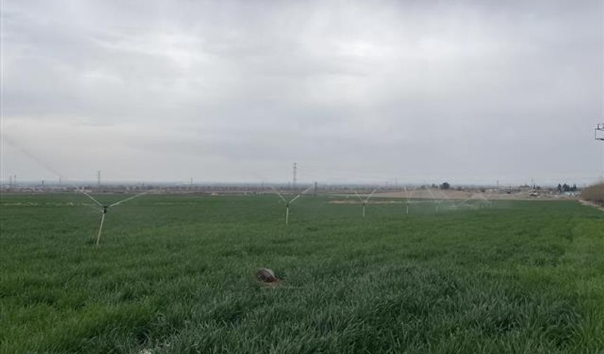 Şanlıurfa'da uzmanlardan önemli uyarı: Su, etkin ve tasarruflu kullanılmalı
