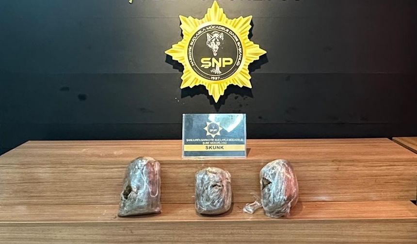 Şanlıurfa'da uyuşturucu operasyonunda 12 zanlı tutuklandı