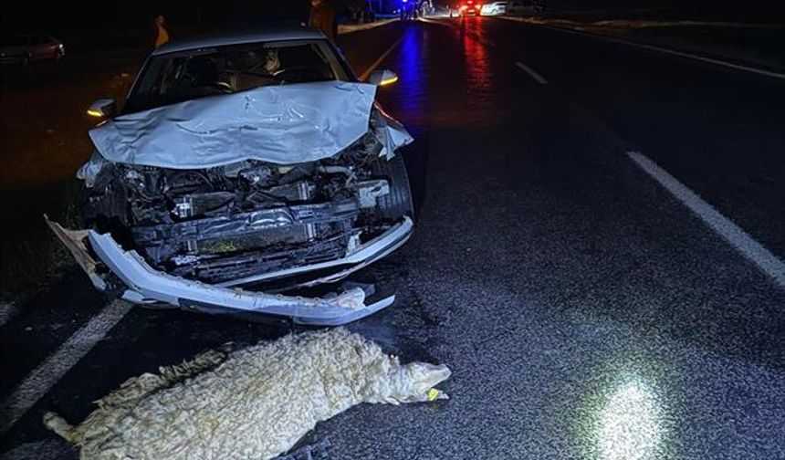 Şanlıurfa'da otomobil sürüye çarptı: 3 yaralı