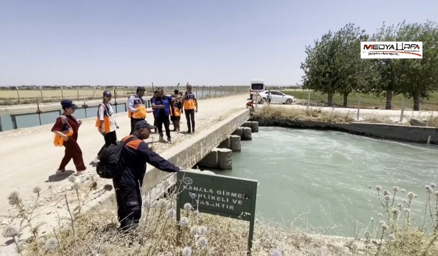 Şanlıurfa'da sulama kanalında akıntıya kapılan 2 kişiyi arama çalışmaları sürüyor