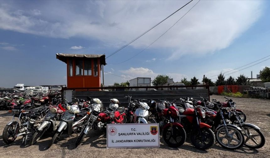 Şanlıurfa'da motosiklet hırsızlığı operasyonunda 7 şüpheli yakalandı