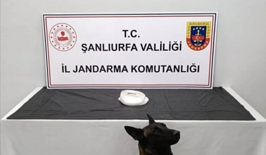 Şanlıurfa'da uyuşturucu operasyonunda 2 şüpheli yakalandı