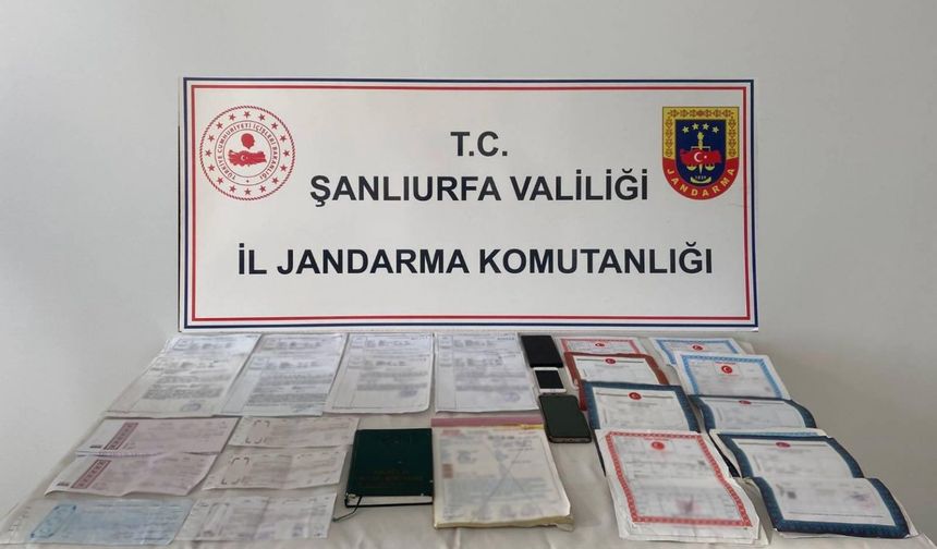Şanlıurfa’da Tefeci Çetesine Jandarma Darbesi: Örgüt Lideri Yakalandı