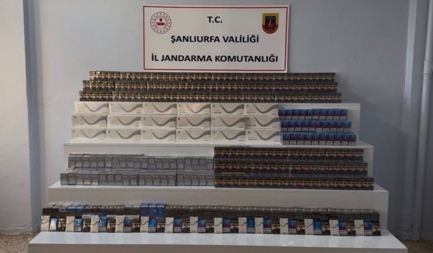 Viranşehir’de Jandarmadan Kaçakçılığa Geçit Yok: "Şok Yol Kontrolü"