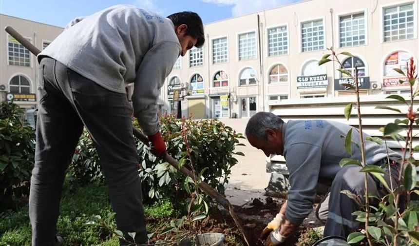 Büyükşehir’den Yeşil Hamle: Ağaç ve Bitki Dikimi Hız Kazandı
