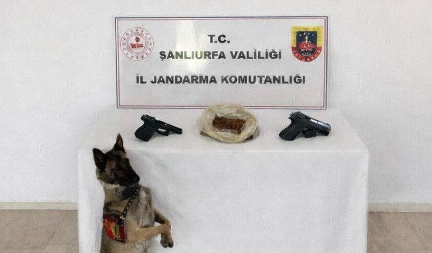 Eyyübiye'de narkotik operasyonu