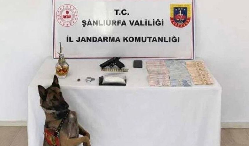 Şanlıurfa’da narkotik operasyonu: 1 şüpheli gözaltında