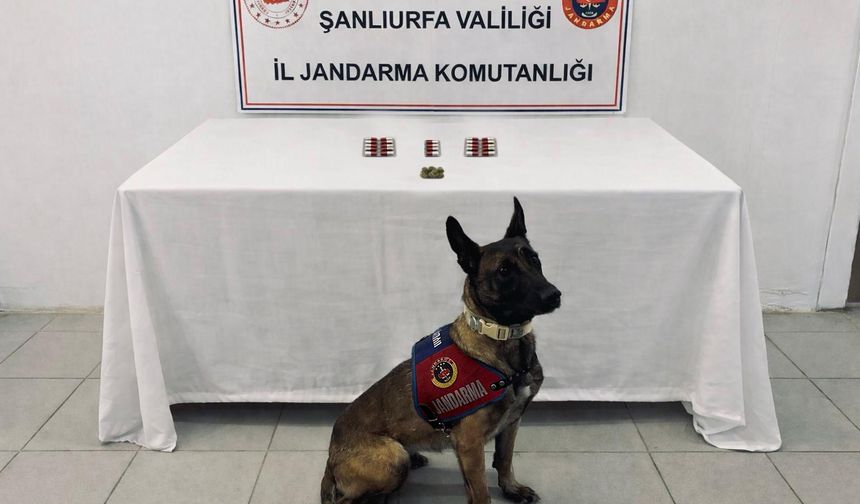 Şanlıurfa’da Narkotik Operasyonu: 8 Şüpheliye İşlem Başlatıldı
