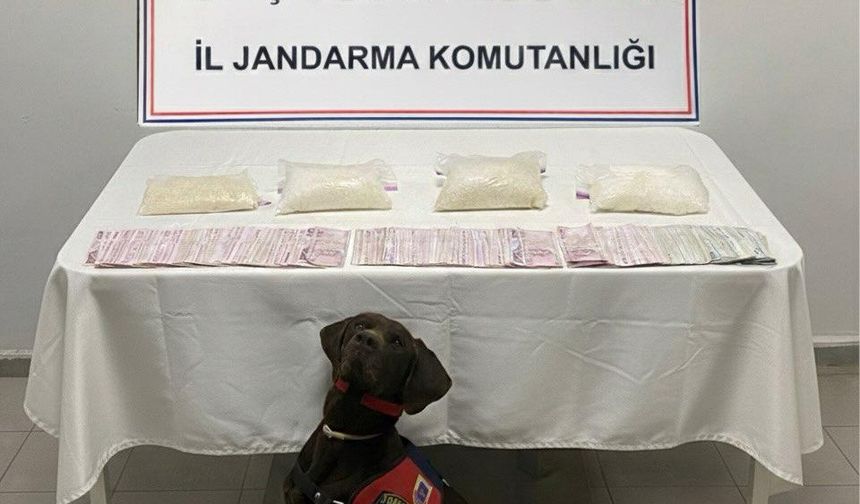 Şanlıurfa İl Jandarma Komutanlığı’ndan Uyuşturucu Operasyonu