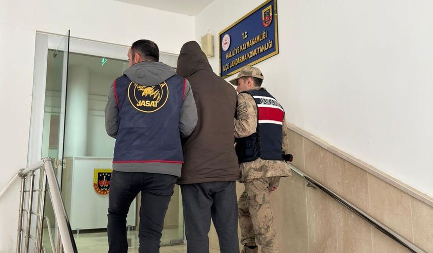Şanlıurfa'da Firari Hükümlüyü Jandarma Yakaladı