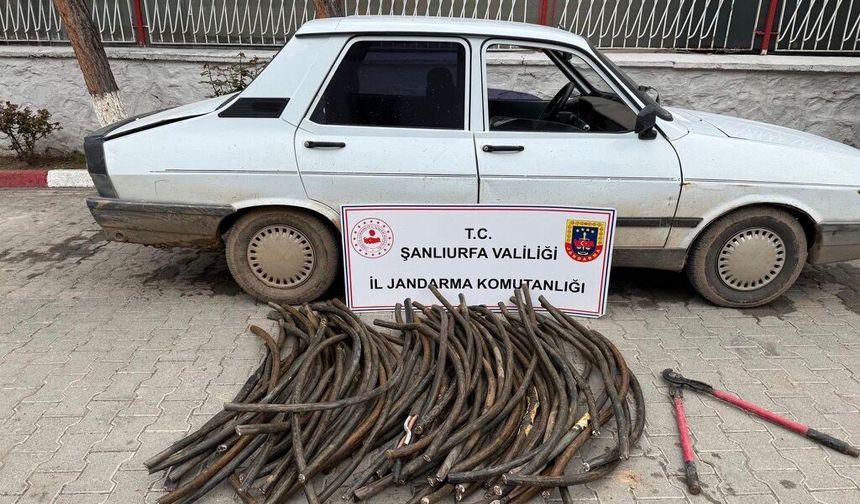 Ceylanpınar'da Bakır Kablo Hırsızlığı: Jandarmadan Suçüstü