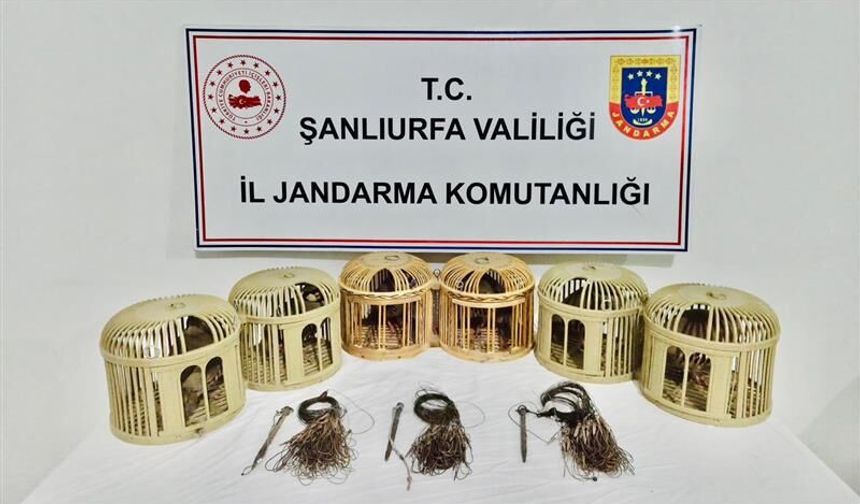 Şanlıurfa'da Kaçak Avcılara Jandarma Engeli