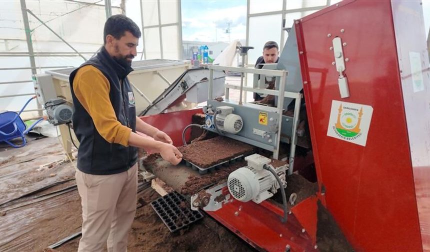 Şanlıurfa Büyükşehir’den 1 Milyon Fide Üretimi
