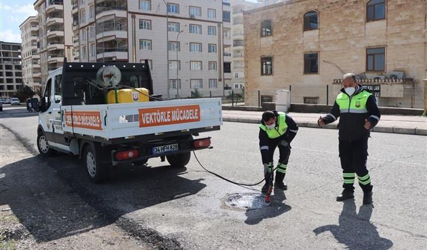 Şanlıurfa’da Büyükşehir’den Sivrisinek ve Haşere Mesaisi
