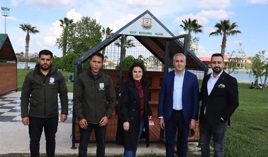 Büyükşehir’den Sokak Kedilerine Örnek Uygulama