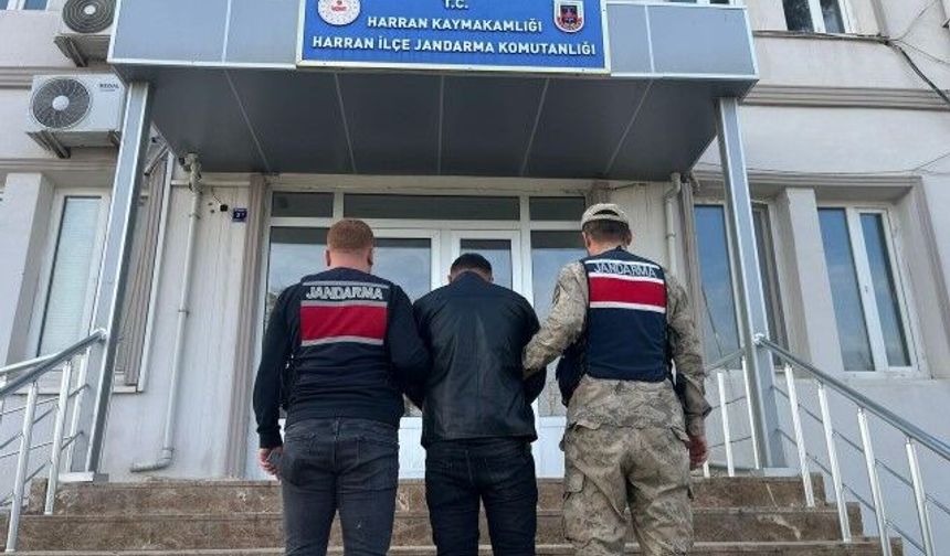 Harran'da dolandırıcılıktan aranan şahıs yakalandı
