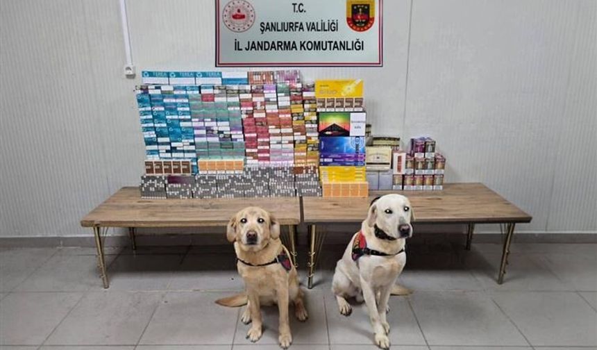 Şanlıurfa’da Kaçakçılık Operasyonu: 27 Gözaltı